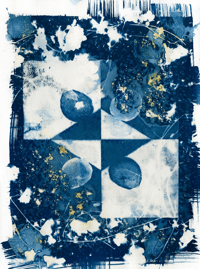 A5 repro cyanotype- CBL Clothilde BERTIN LALANDE